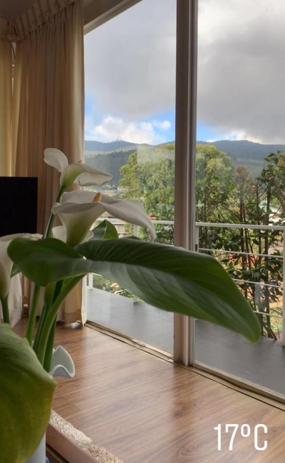 Hotel Andora Nuwara Eliya Exteriér fotografie